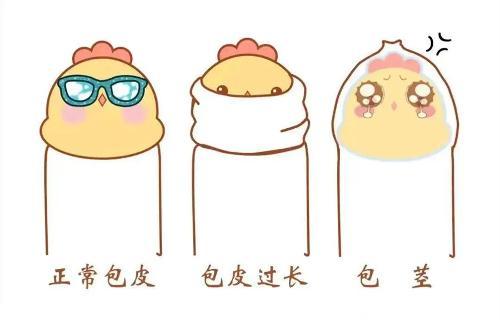 男孩夏日焕新计划：“丁丁”手术小百科