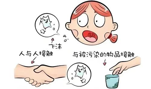 “毒王”！高烧不退！腺病毒感染该如何应对？